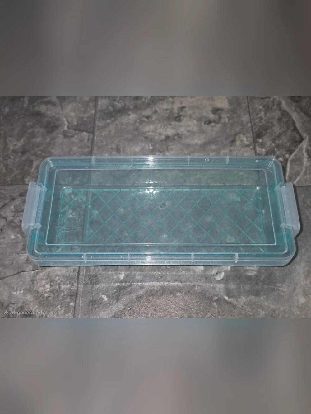 Rectangular Organzer with 2 Lock Containers in Teal BNIB